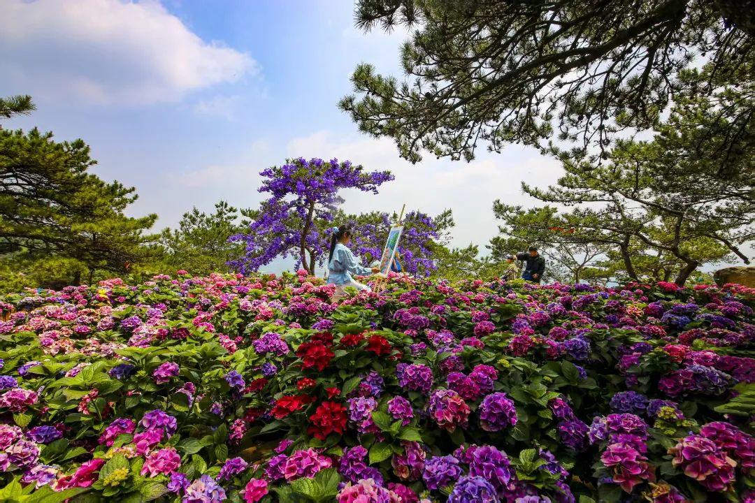 山东各地景点门票折扣信息_中国旅游日2025活动优惠攻略_黄河口生态旅游区门票团购