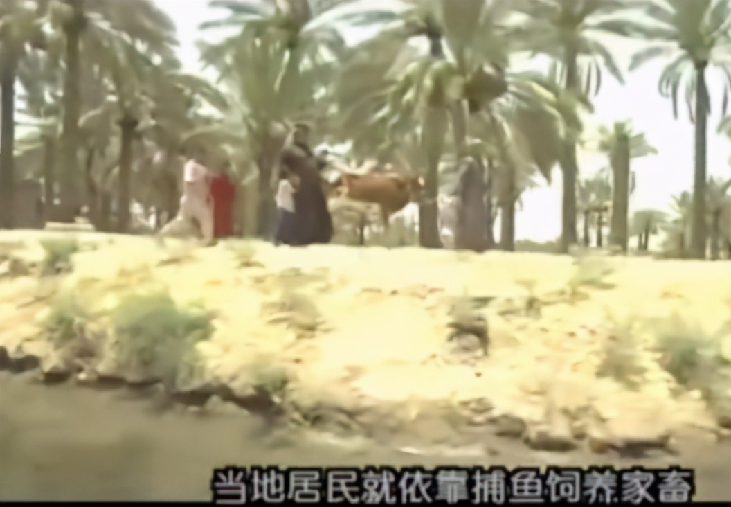 两河流域城最早文化_苏美尔泥版与陶器对比_泥版书保存千年原因