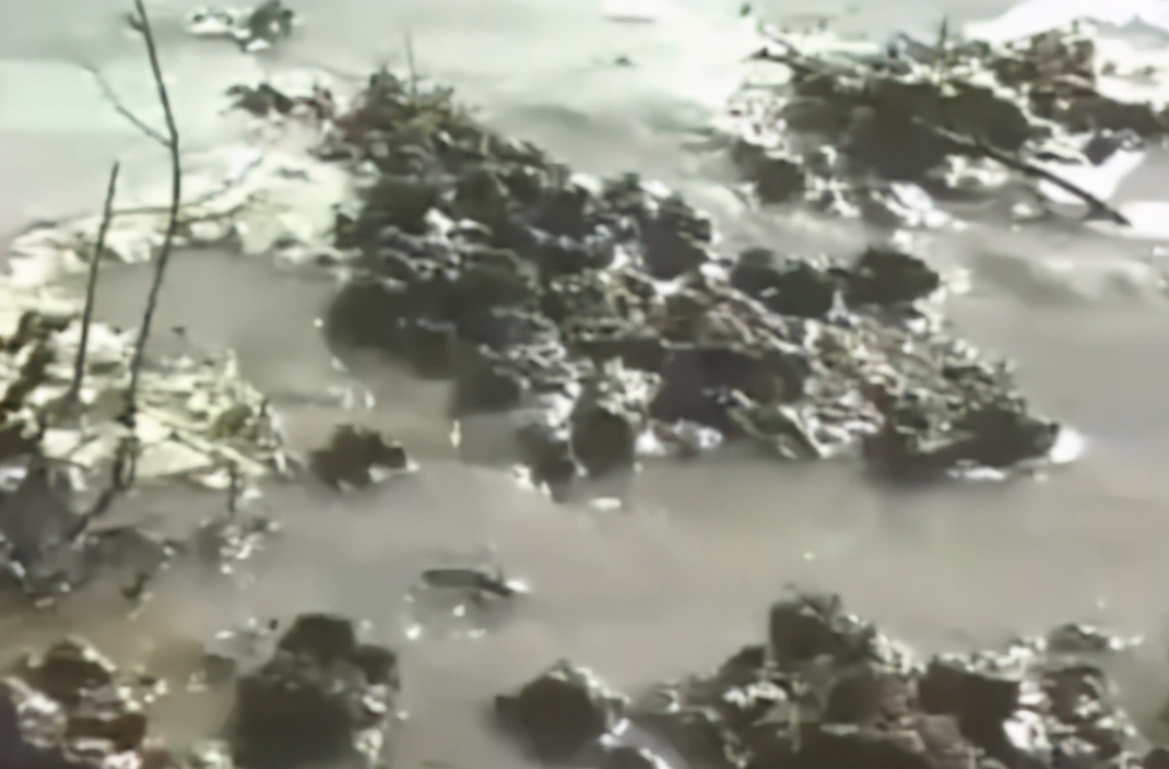 两河流域城最早文化_泥版书保存千年原因_苏美尔泥版与陶器对比