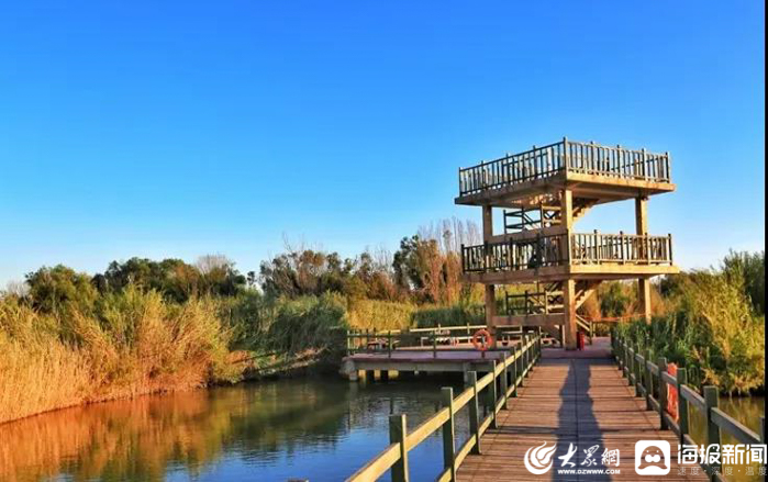 黄河口生态旅游区门票团购_山东省旅游行业协会自驾游分会活动_东营自驾游黄河入海槐花节