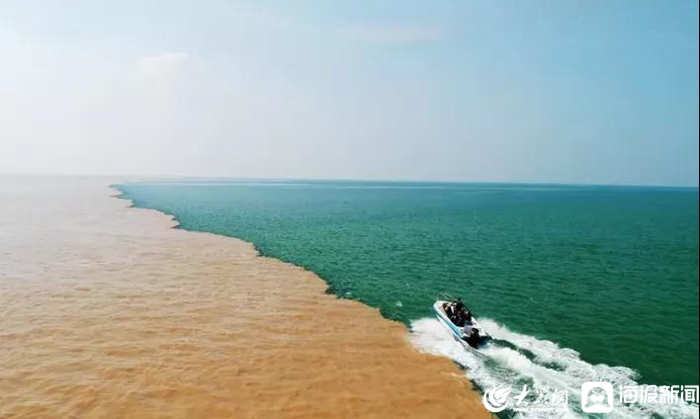 东营自驾游黄河入海槐花节_山东省旅游行业协会自驾游分会活动_黄河口生态旅游区门票团购