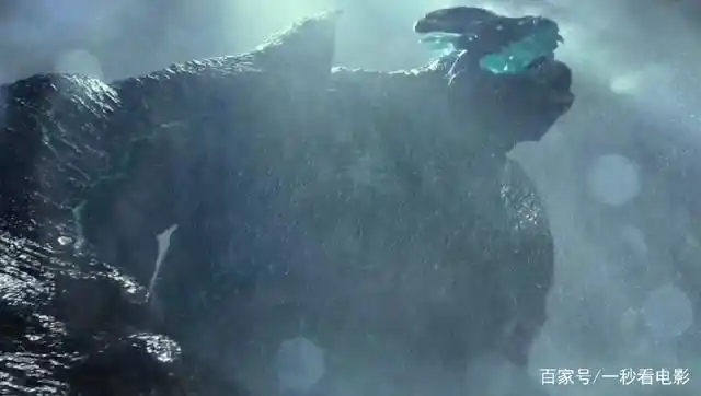 环太平洋1 先驱派遣怪兽 目的_环太平洋和怪兽联结_环太平洋1 怀孕尾立鼠 原因