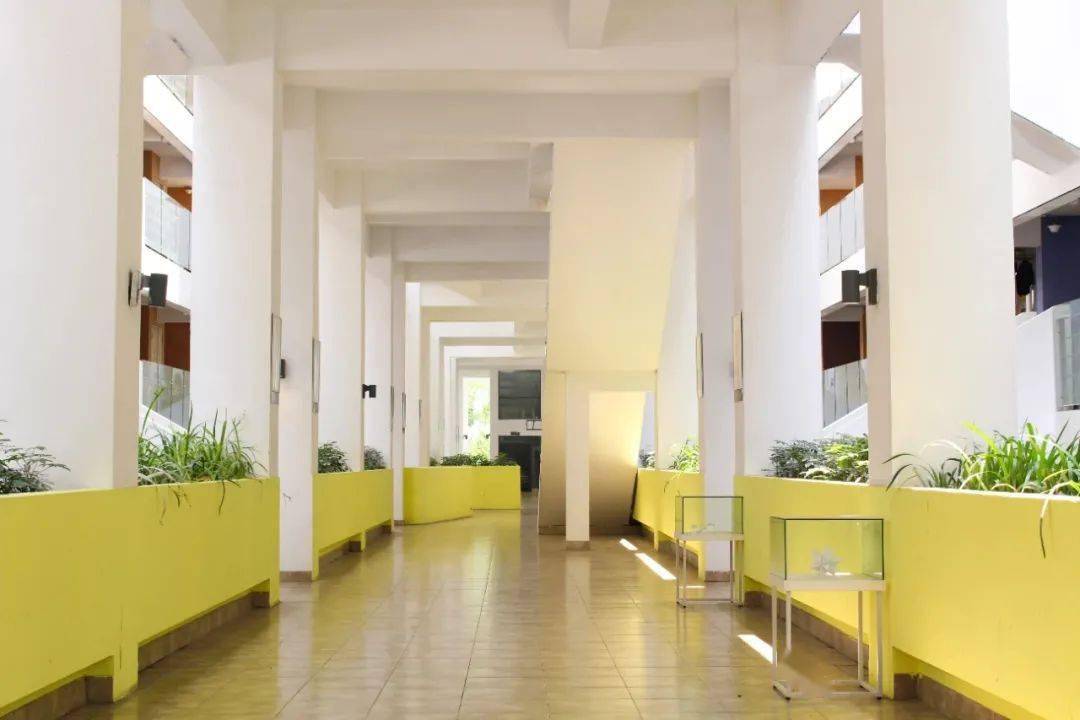 厦门大学宿舍环境_福建医科大学新生宿舍_福建本科院校宿舍条件