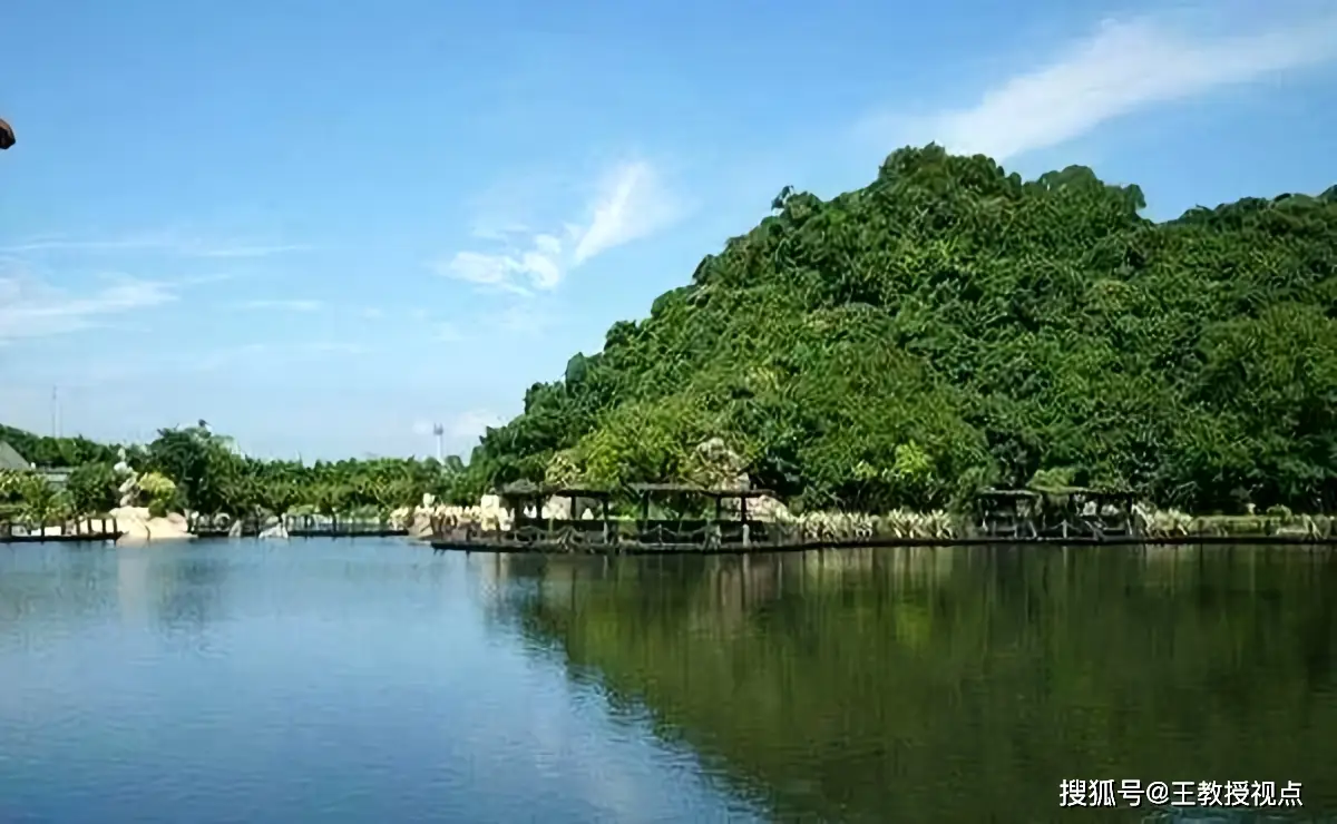 生态系统与生态平衡_生态系统运行法则_生态平衡维系机制