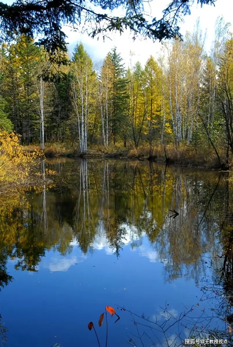 生态系统运行法则_生态平衡维系机制_生态系统与生态平衡