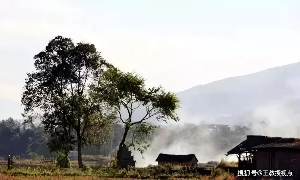 生态系统运行法则_生态平衡维系机制_生态系统与生态平衡
