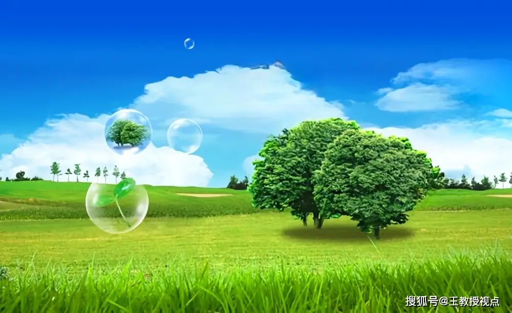 生态系统运行法则_生态系统与生态平衡_生态平衡维系机制