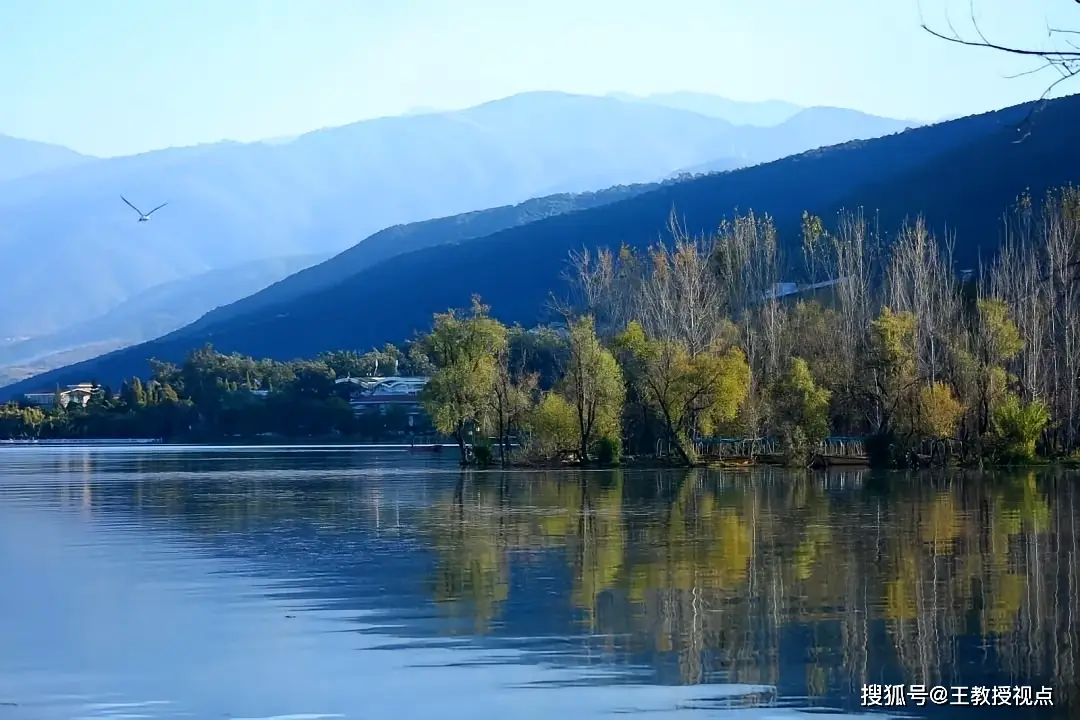生态系统运行法则_生态系统与生态平衡_生态平衡维系机制