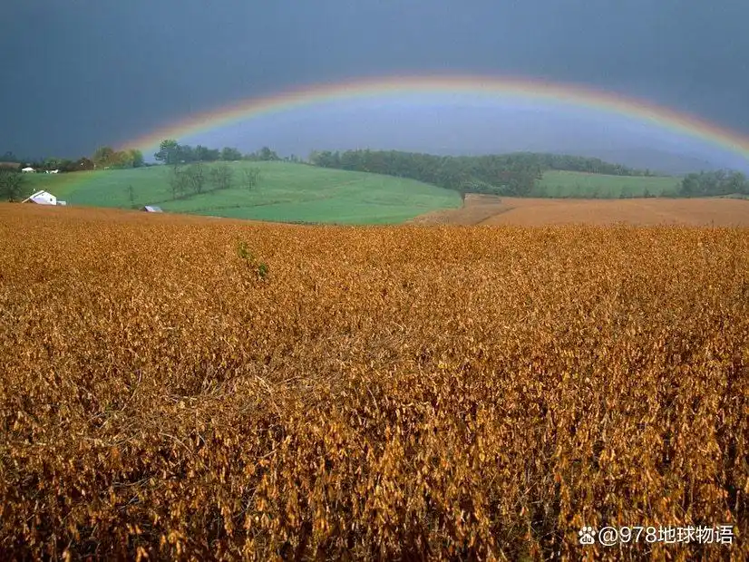 彩虹倒映在冰冷水域_彩虹有几种颜色,它们是_双彩虹形成条件
