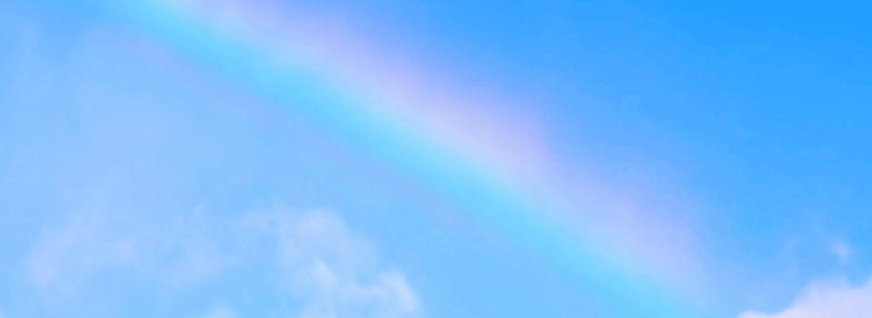 白度大便来血是什么原因_痔疮便血与结肠癌区别_便血原因鉴别