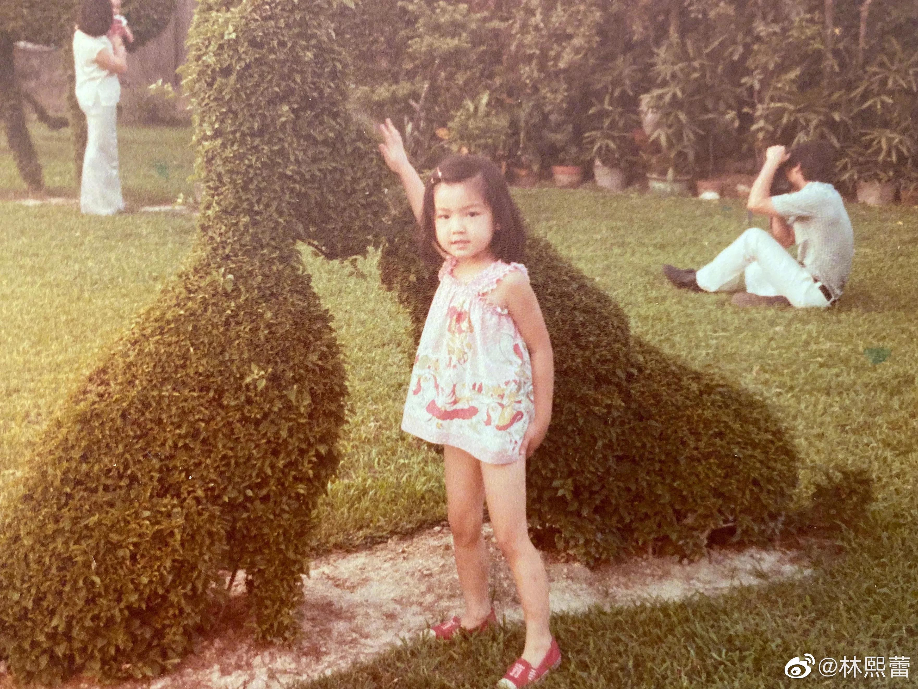 林熙蕾事业爱情孩子转变_林熙蕾年龄变化_林熙蕾全身照片