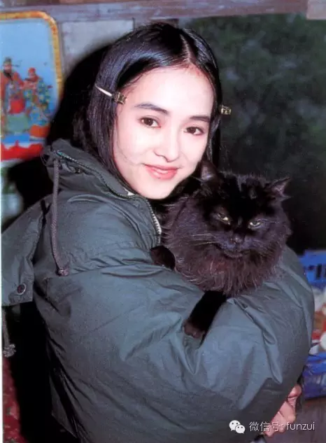 叶蕴仪陈柏浩_叶蕴仪 林志颖 神经刀和飞天猫