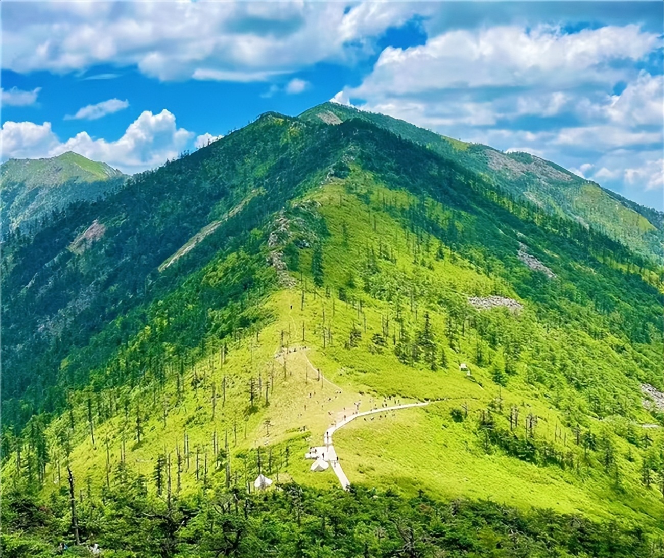 恋之坊土蜂蜜选购攻略_蜂蜜的保存时间是多长_天然蜜液鉴赏指南