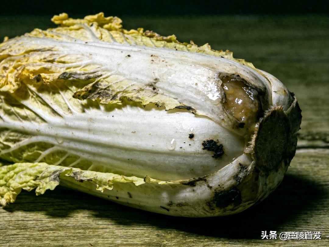 食品保质期长是否多加防腐剂_蜂蜜的保存时间是多长_食品保鲜内部因素