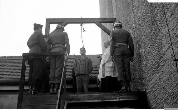 希特勒自杀视频_希特勒为何选择自杀而不是逃亡_1945年4月希特勒逃亡建议分析