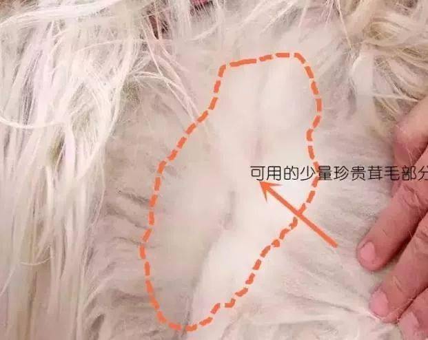 羊绒与羊毛区别_羊毛衫要怎么收纳省空间_羊绒衫选购指南