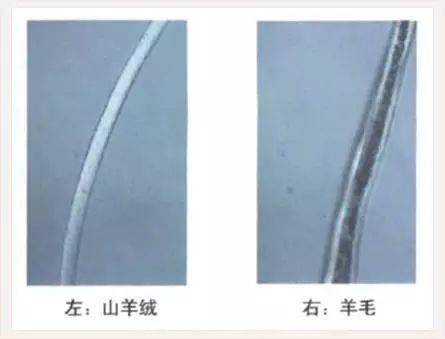 羊绒与羊毛区别_羊毛衫要怎么收纳省空间_羊绒衫选购指南