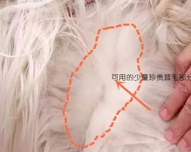 羊绒与羊毛区别_羊绒衫选购指南_羊毛衫要怎么收纳省空间