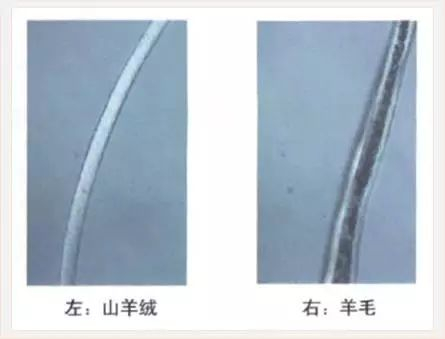 羊毛衫要怎么收纳省空间_羊绒与羊毛区别_羊绒衫选购指南