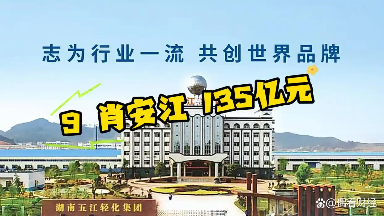 湖南富豪排行榜_湖南省光伏企业排名_湖南十大富豪企业
