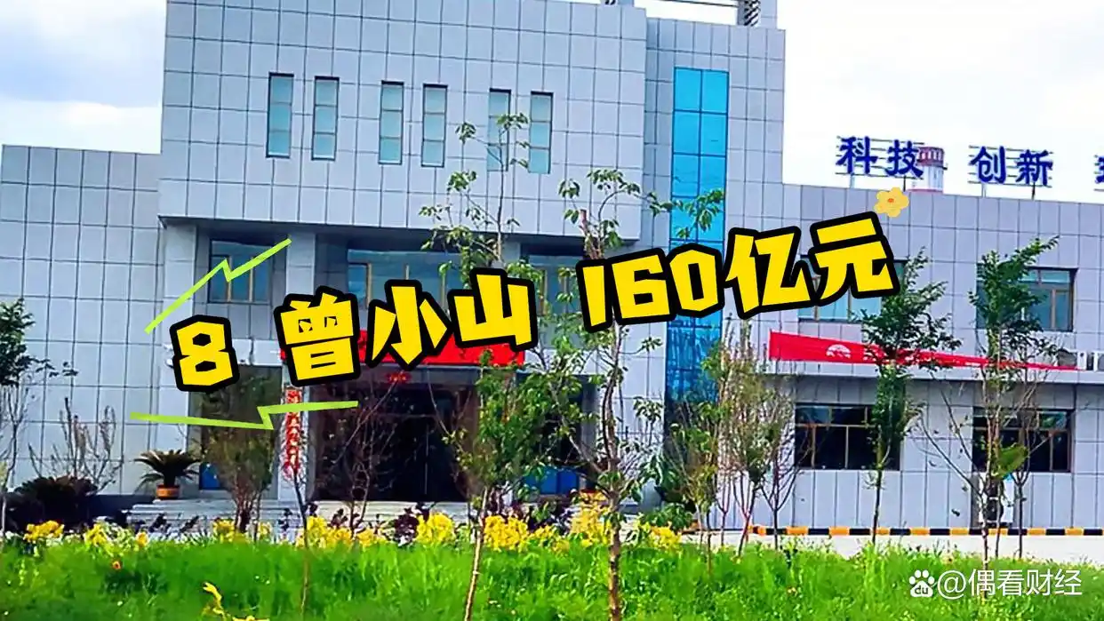 湖南富豪排行榜_湖南十大富豪企业_湖南省光伏企业排名