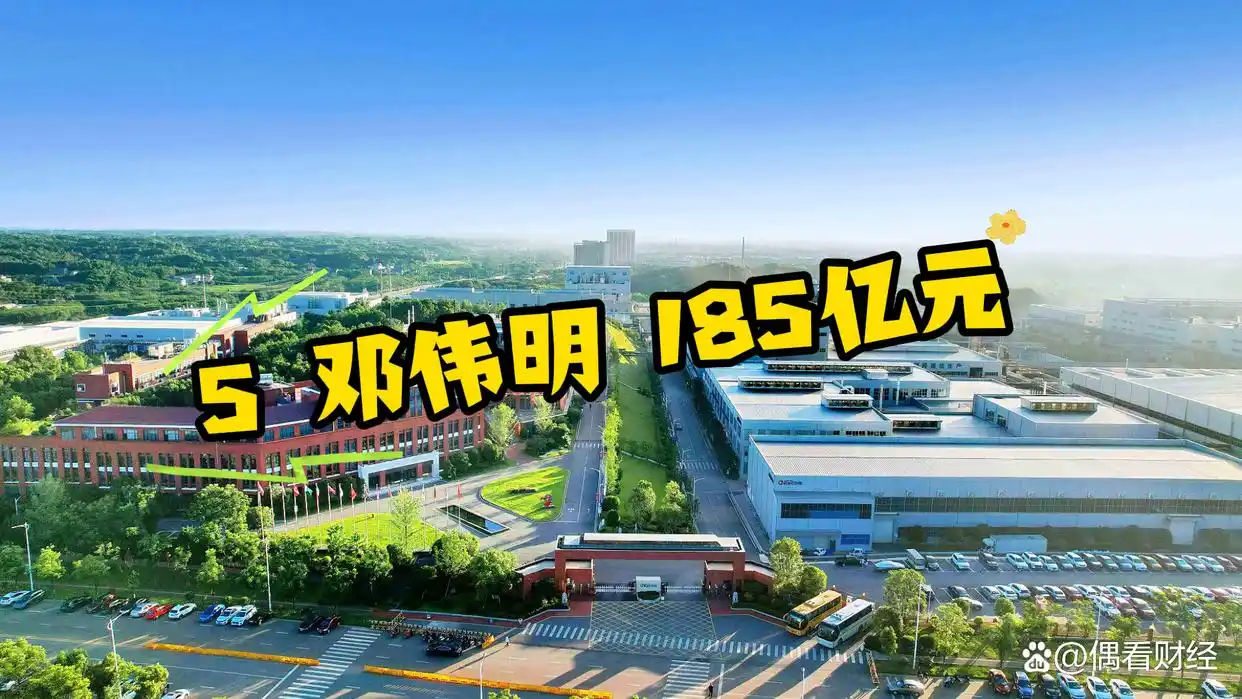 湖南富豪排行榜_湖南十大富豪企业_湖南省光伏企业排名