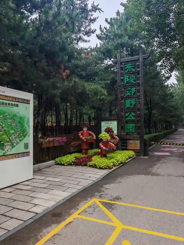 沈阳近郊赏花地_沈阳爬山去哪里比较好_东陵郊野公园