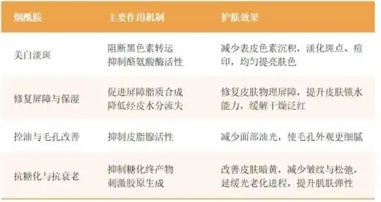 女人吃什么药对皮肤好_烟酰胺改善糙皮干燥机制_口服烟酰胺焕亮产品推荐