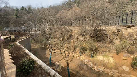 南京新生态有机生活馆_南京新济洲国家湿地公园生物多样性_南京城市野生动物保护