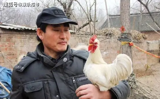 李玉刚成名之路_草根歌手代表_李玉刚谁捧红的