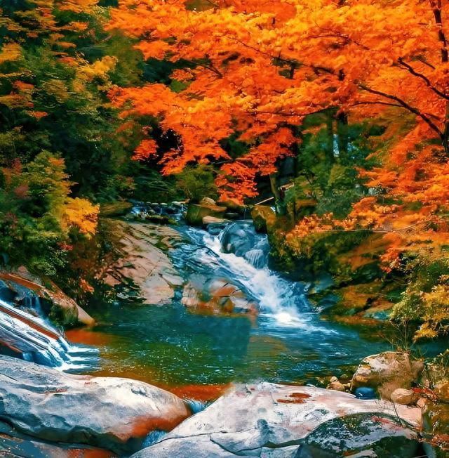 四川平昌出了那些明星_张梦儿威尼斯短片_巴中明星