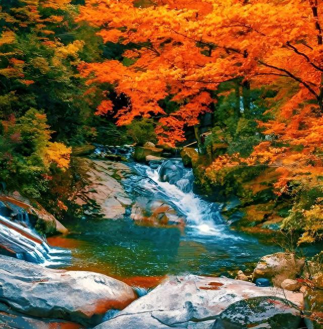 巴中明星效应_四川平昌出了那些明星_巴中文旅发展