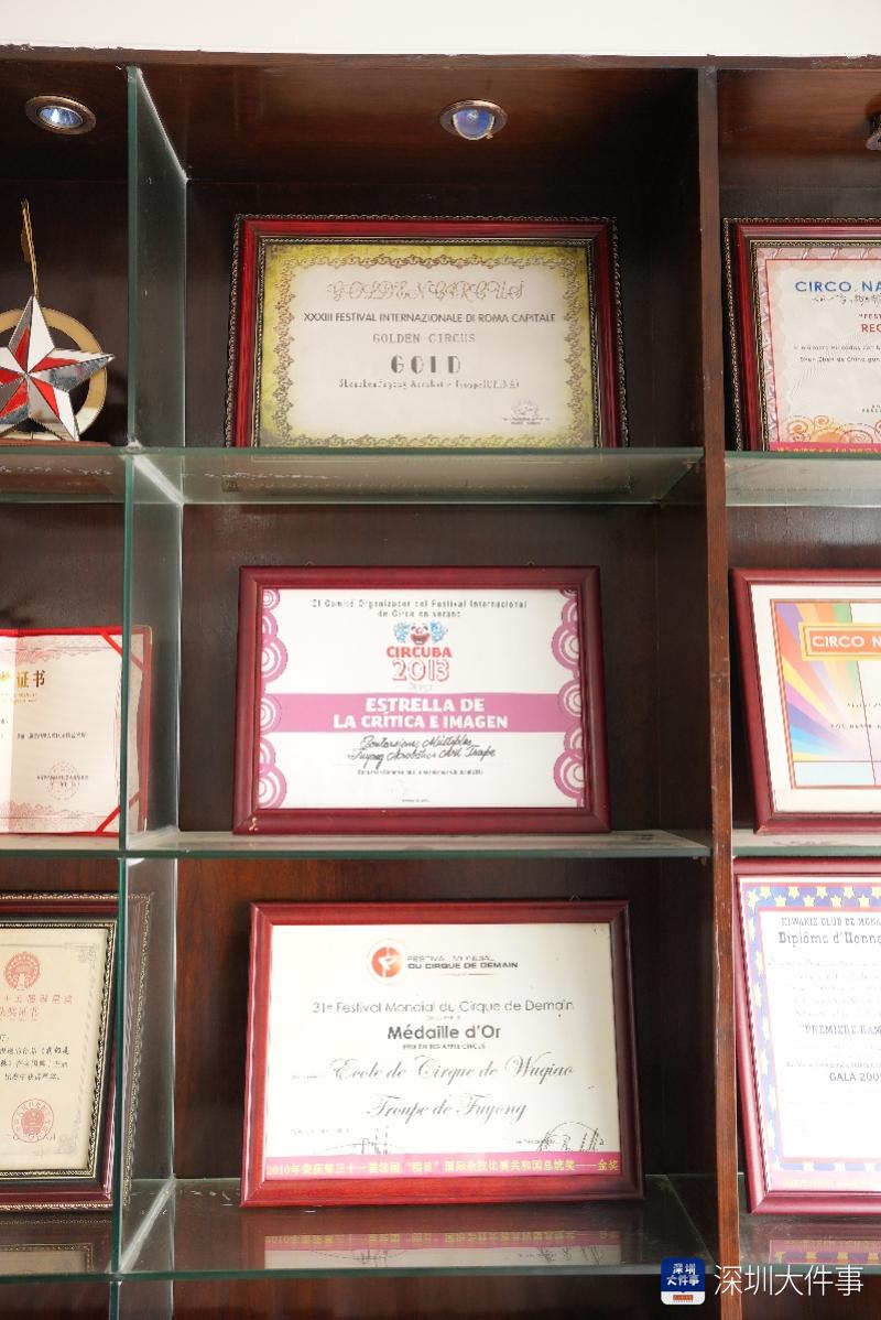 深圳市福永杂技艺术团介绍_福永杂技艺术团_福永文化艺术中心