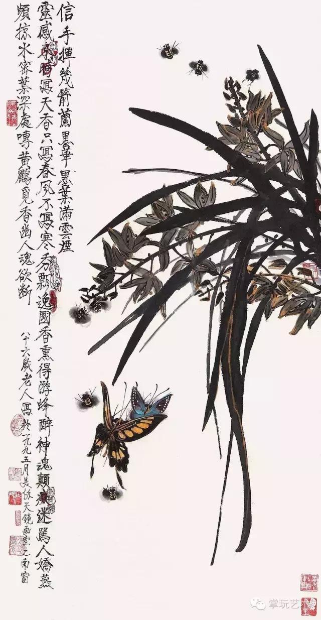 王冰如 蝴蝶画 高清作品_王冰石书画_中国蝴蝶王 王冰如 画家经历