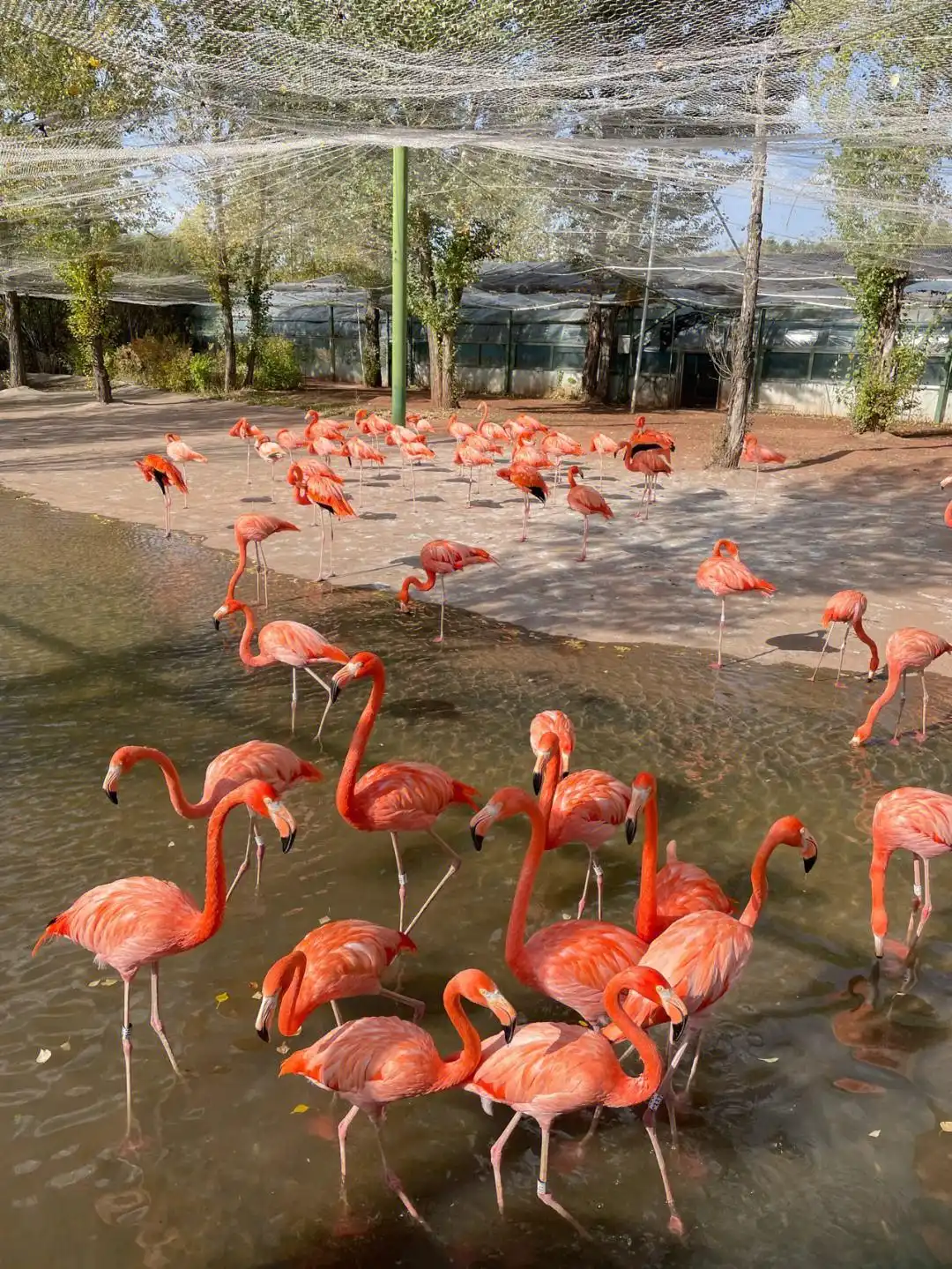 成吉思汗陵旅游攻略_鄂尔多斯十大景点_鄂尔多斯有哪些景点