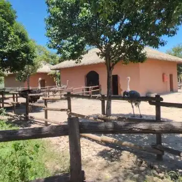 _阜阳市生态乐园_阜阳生态园景点介绍