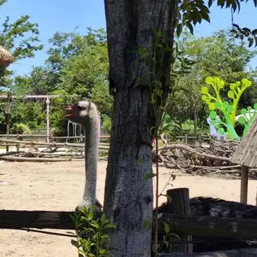 _阜阳生态园景点介绍_阜阳市生态乐园