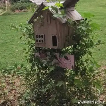 _阜阳生态园景点介绍_阜阳市生态乐园