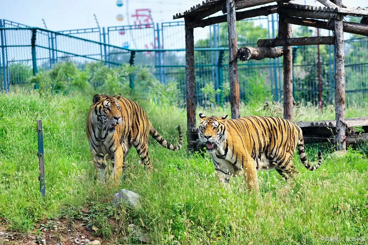 鄂尔多斯有哪些景点_响沙湾旅游攻略_鄂尔多斯十大旅游景点