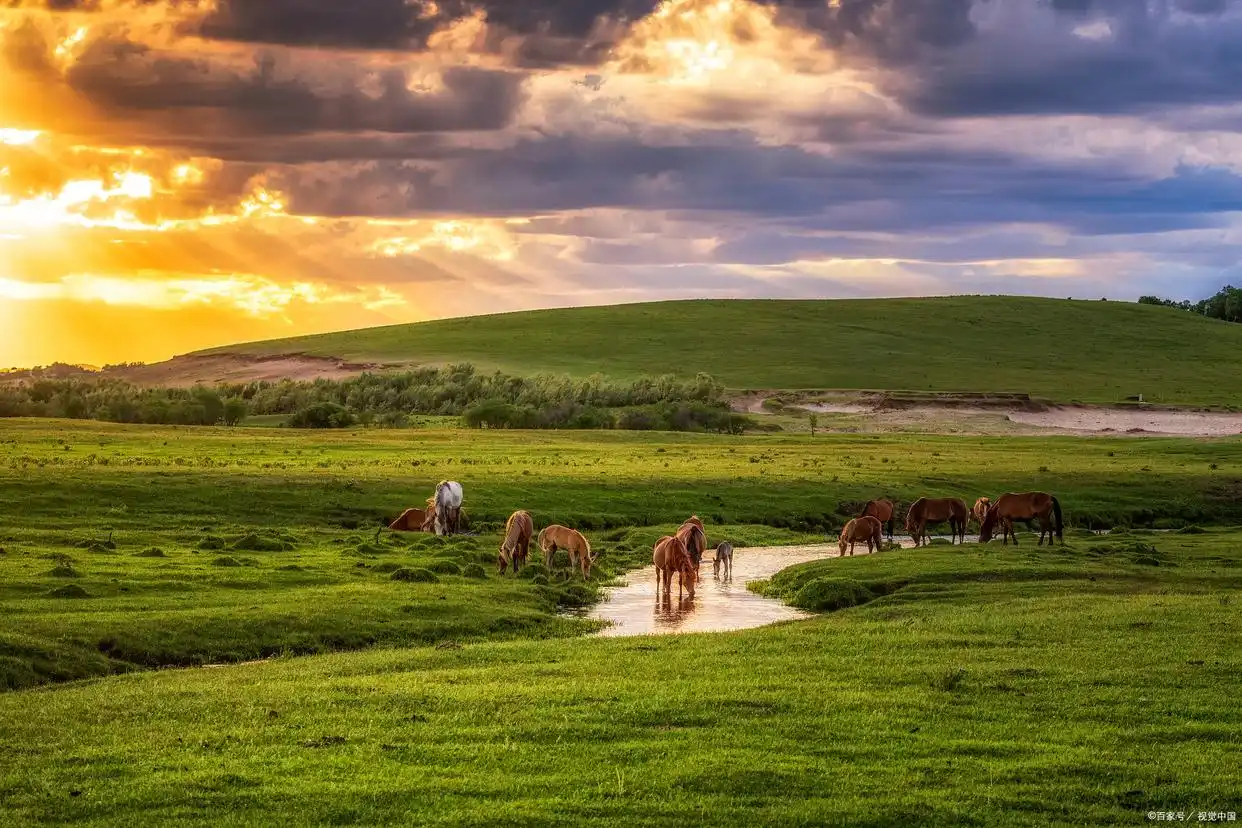 鄂尔多斯有哪些景点_鄂尔多斯十大旅游景点_响沙湾旅游攻略