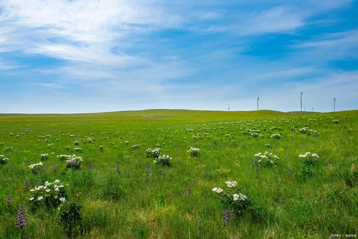 鄂尔多斯有哪些景点_鄂尔多斯响沙湾旅游区_鄂尔多斯成吉思汗陵旅游区