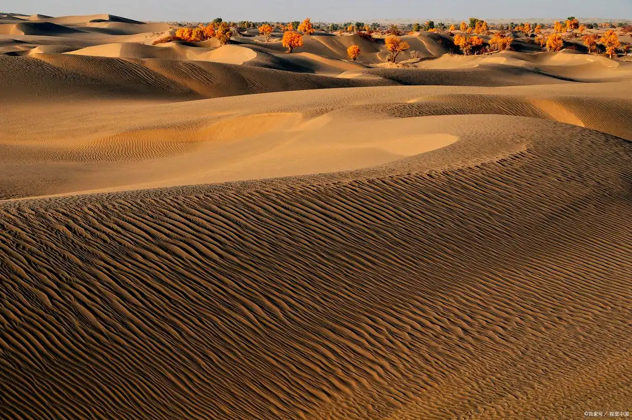 鄂尔多斯响沙湾旅游区_鄂尔多斯有哪些景点_鄂尔多斯成吉思汗陵旅游区