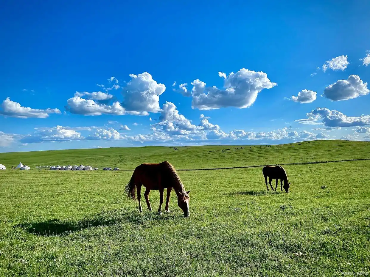 鄂尔多斯有哪些景点_鄂尔多斯成吉思汗陵旅游区_鄂尔多斯响沙湾旅游区