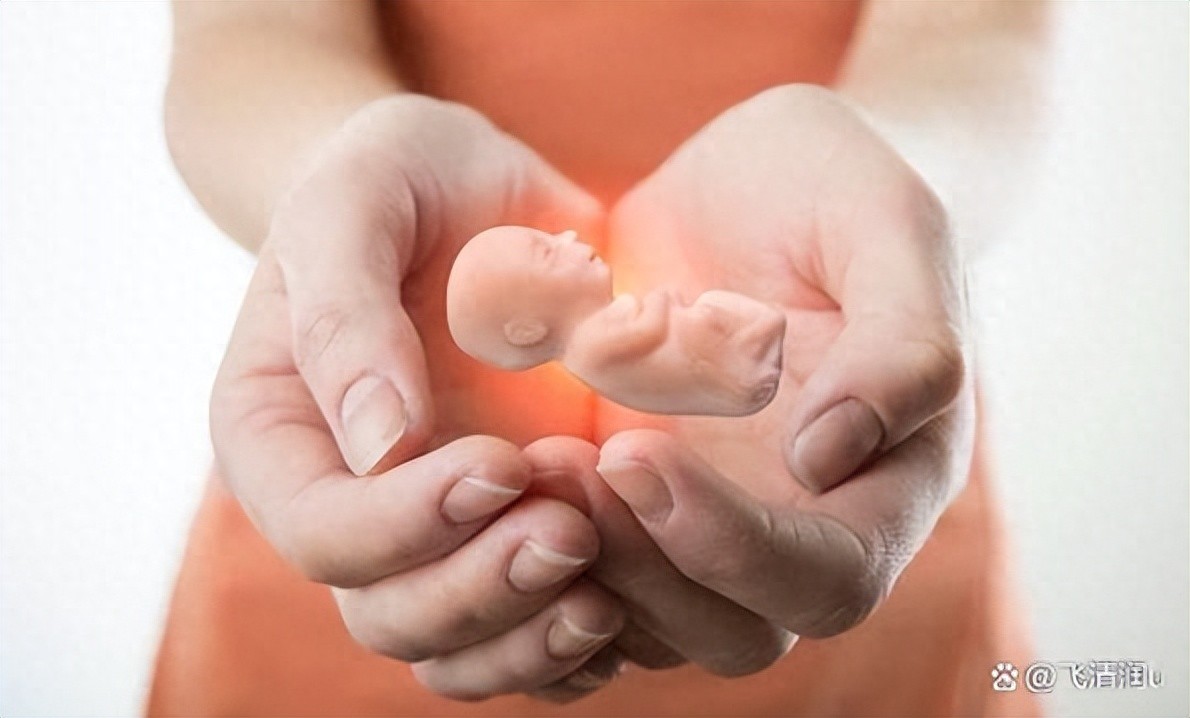 怀孕多久做无痛人流_遵义无痛人流价格_无痛人流适宜孕周