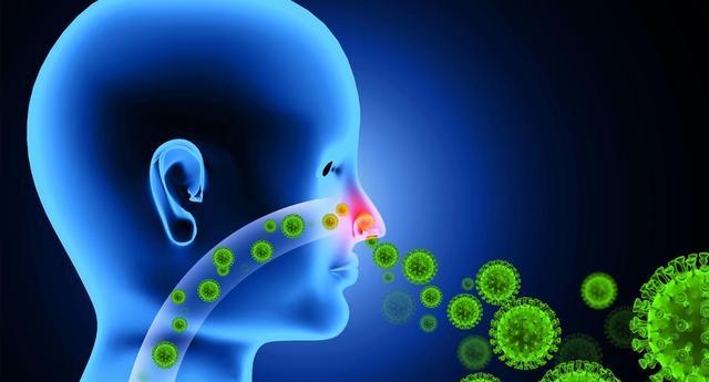 如何预防孩子春季鼻炎_孩子春季鼻炎怎么办_鼻涕虫会爬到卧室里吗