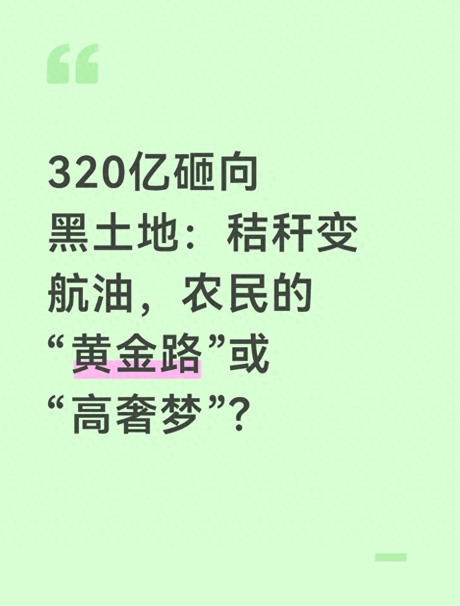 沈阳玉米秸秆变航空煤油_玉米秸秆利用_河北秸秆综合利用项目