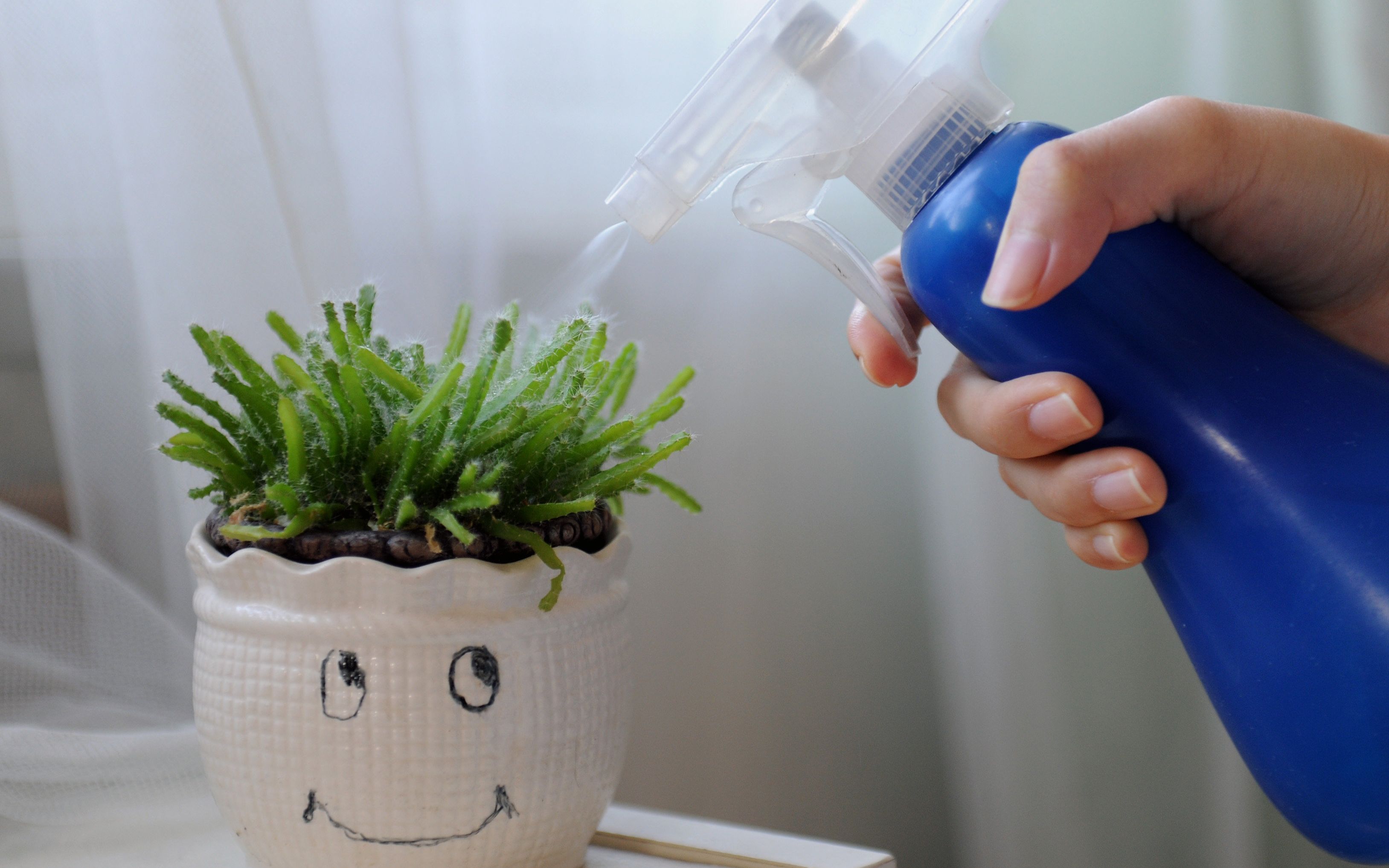 买染发剂需要注意什么_中老年人染发禁忌_白发越拔越多吗