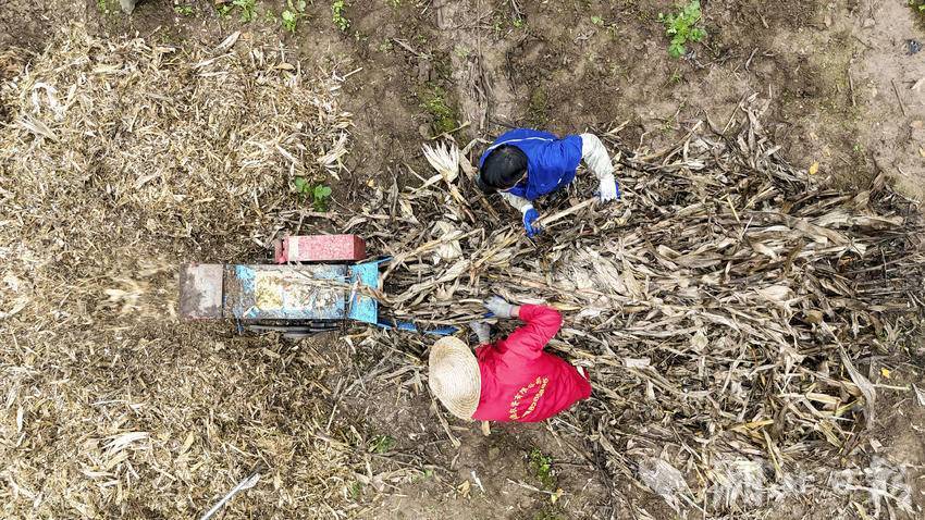宣恩县秸秆综合利用回收_农作物秆发酵_宣恩县秸秆肥料化利用试点