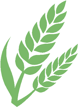 有机肥加工_玉米秸秆利用_秸秆综合利用