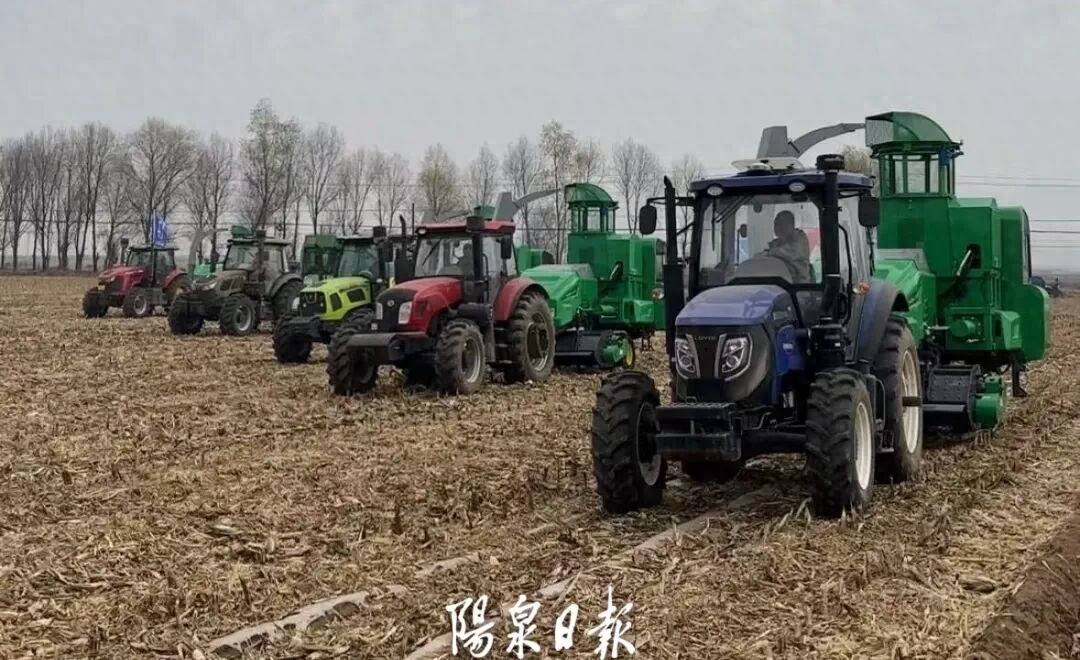 玉米秸秆利用_阳泉市秸秆综合利用_秸秆还田技术规程